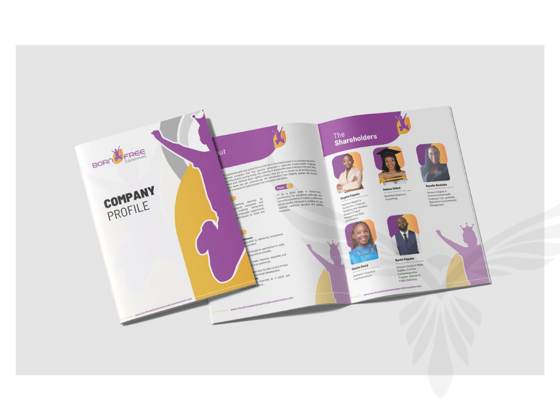 Web & Digital Development work
